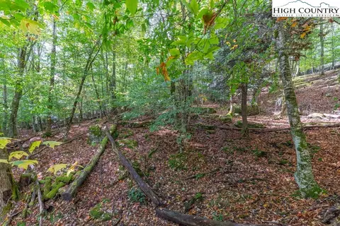 125 E Blueberry Ln, Beech Mountain, NC 28604 photo 19