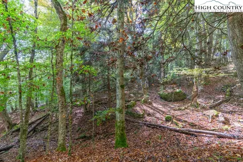 125 E Blueberry Ln, Beech Mountain, NC 28604 photo 13