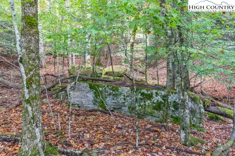 125 E Blueberry Ln, Beech Mountain, NC 28604 photo 11