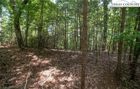 lot88 Woodpecker Rd, Purlear, NC 28665