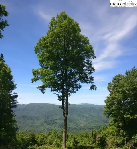 6 Skyview Street, Deep Gap, NC 28618 photo 4