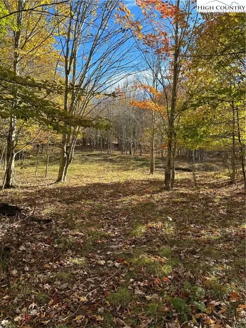 201 Birchwood Ln, Beech Mountain, NC 28604