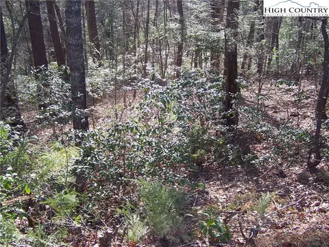 tbd Roaring Ridge Rd, Deep Gap, NC 28618 photo 2