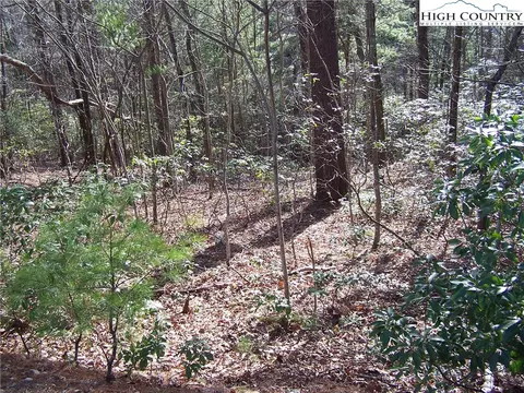 tbd Roaring Ridge Rd, Deep Gap, NC 28618