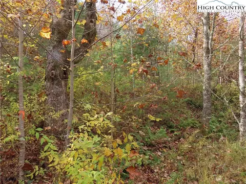 Tbd Roaring Fork Road, Creston, NC 28615 photo 8