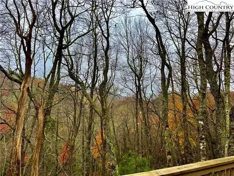 250 Williams Ridge Rd, Boone, NC 28607 photo 4