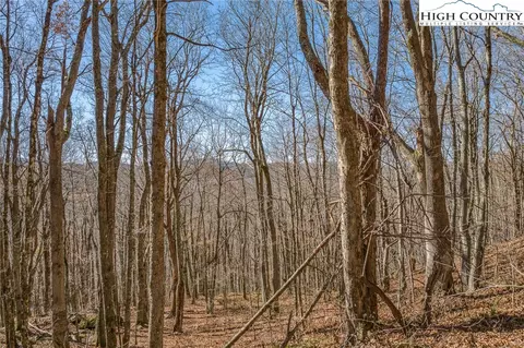 tbd Sugarloaf Rd, Boone, NC 28607 photo 21