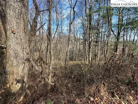 tbd Meadow Pines Trl, Boone, NC 28607 photo 16