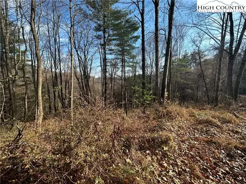 tbd Meadow Pines Trl, Boone, NC 28607 photo 18