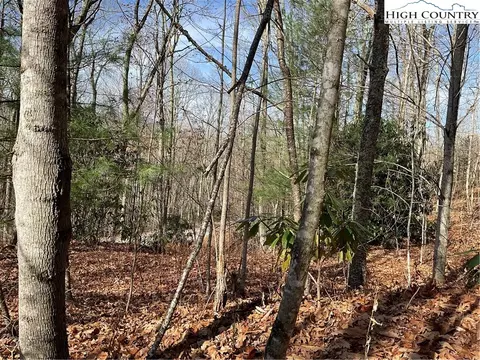 000 Rhoneys View Rd, Newland, NC 28657