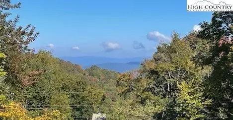 103 W Pond Creek Rd, Beech Mountain, NC 28604 photo 4