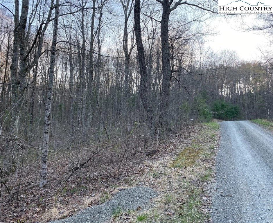 24 Lonesome Oak Dr  