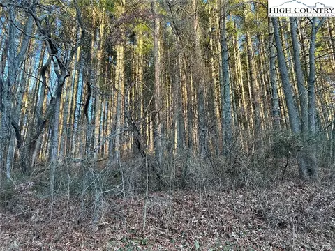 Tbd Old Nc Hwy 16, Jefferson, NC 28640