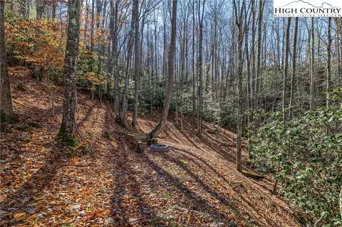 View/Area - 1461 Pine Rdg, Beech Mountain, NC 28604 photo 5 of 8