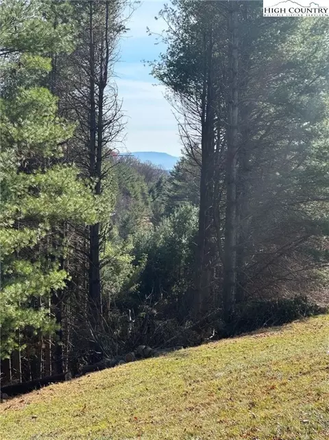 lot6 Wildcat Rd, Deep Gap, NC 28618 photo 4