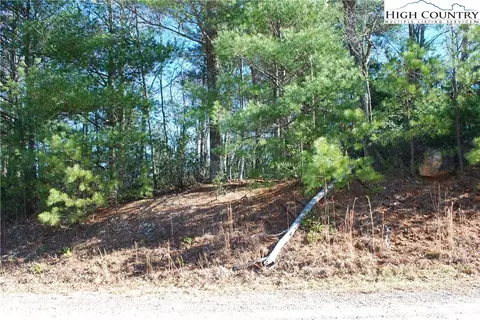 Tbd Staghorn Road, Purlear, NC 28665 photo 20