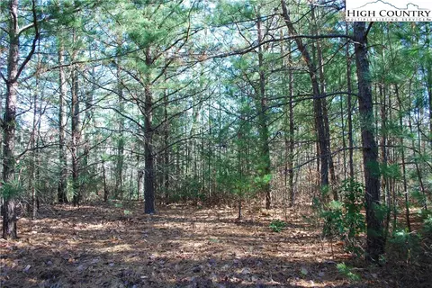 Tbd Staghorn Road, Purlear, NC 28665 photo 11