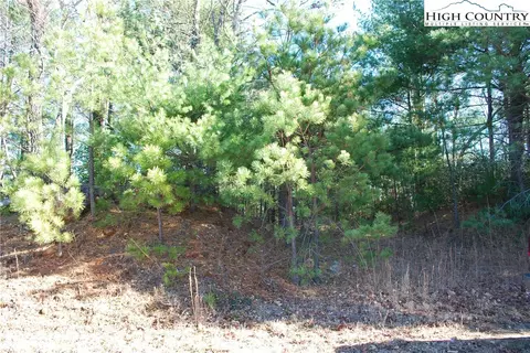 Tbd Staghorn Road, Purlear, NC 28665 photo 13