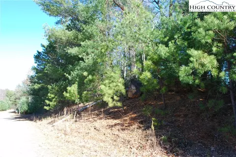 Tbd Staghorn Road, Purlear, NC 28665 photo 17