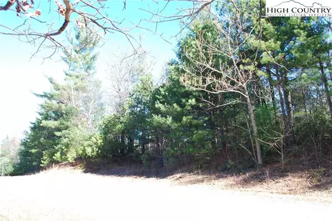 Tbd Staghorn Road, Purlear, NC 28665 photo 24
