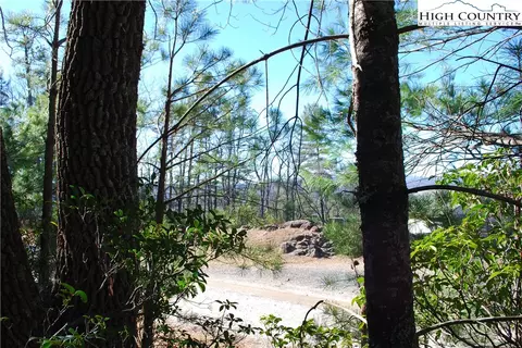 Tbd Staghorn Road, Purlear, NC 28665 photo 10
