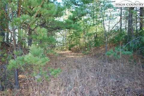 Tbd Staghorn Road, Purlear, NC 28665 photo 6