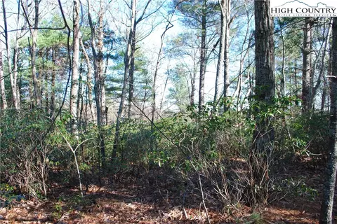 Tbd Staghorn Road, Purlear, NC 28665 photo 9