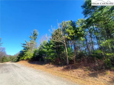 Tbd Staghorn Road, Purlear, NC 28665 photo 2