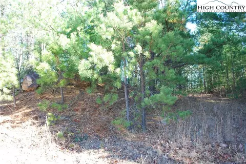 Tbd Staghorn Road, Purlear, NC 28665 photo 18
