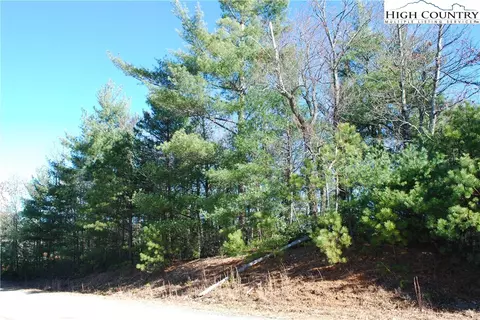 Tbd Staghorn Road, Purlear, NC 28665 photo 16