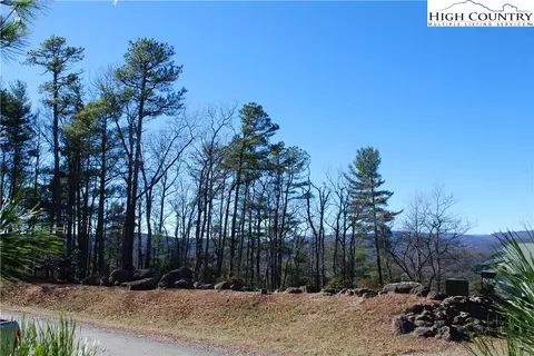 Tbd Staghorn Road, Purlear, NC 28665 photo 12