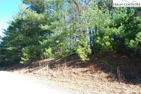 Tbd Staghorn Road, Purlear, NC 28665 photo 14