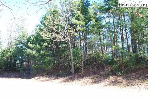 Tbd Staghorn Road, Purlear, NC 28665 photo 25