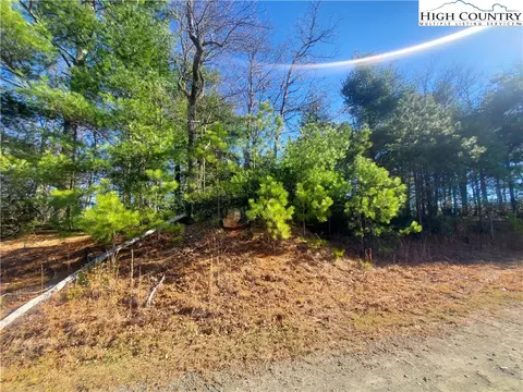 Tbd Staghorn Road, Purlear, NC 28665 photo 4