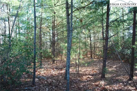 Tbd Staghorn Road, Purlear, NC 28665 photo 8