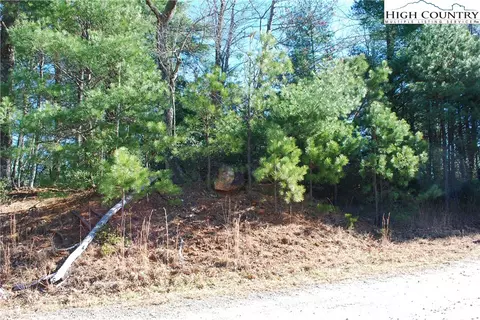 Tbd Staghorn Road, Purlear, NC 28665 photo 21