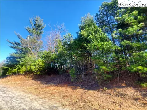 Tbd Staghorn Road, Purlear, NC 28665 photo 3