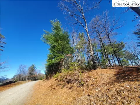 Tbd Staghorn Road, Purlear, NC 28665