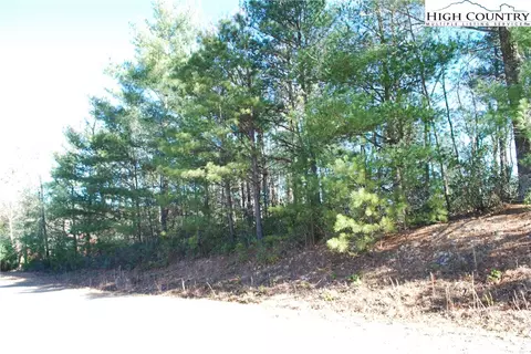 Tbd Staghorn Road, Purlear, NC 28665 photo 19