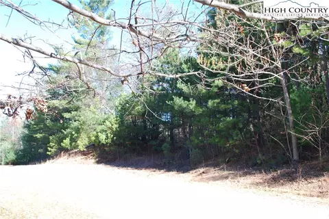 Tbd Staghorn Road, Purlear, NC 28665 photo 22