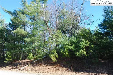 Tbd Staghorn Road, Purlear, NC 28665 photo 15