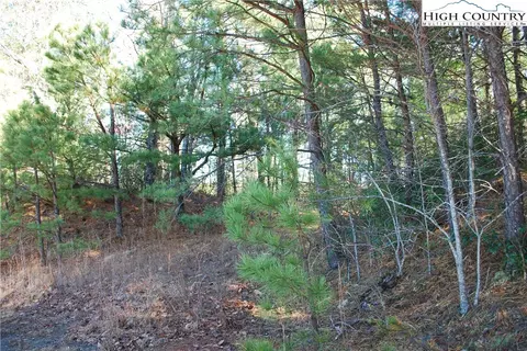 Tbd Staghorn Road, Purlear, NC 28665 photo 7