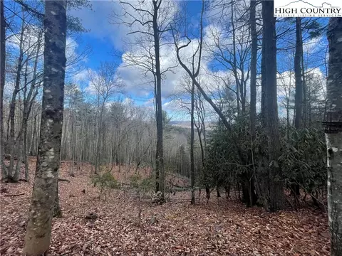 Lot 34 Doe Run, Purlear, NC 28665 photo 11