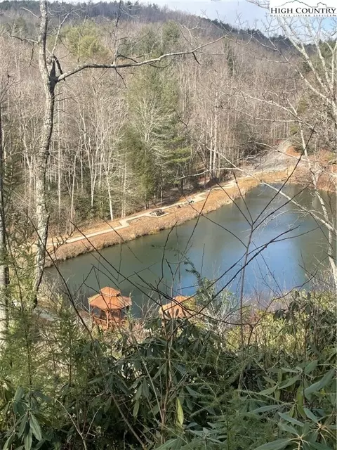 Lot 34 Doe Run, Purlear, NC 28665 photo 21