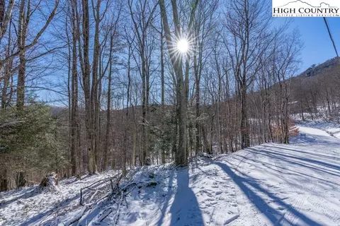113115 Foxgrape Holw, Beech Mountain, NC 28604