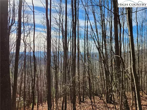 6900 Mertie Rd, Millers Creek, NC 28651