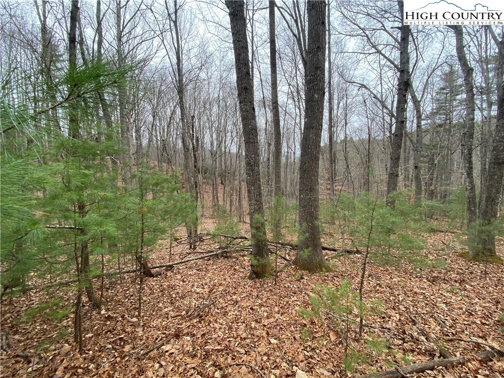 Lot 3 Sonterra Dr