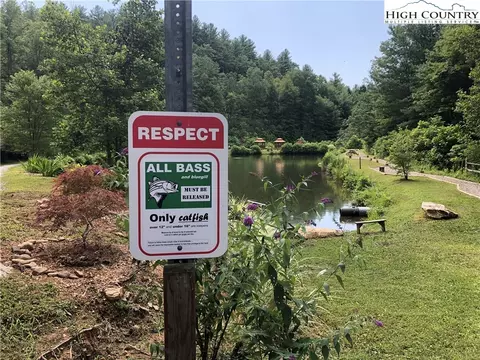 lot43 White Tail Trl, Purlear, NC 28665 photo 19
