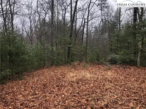 lot56 Deer Run, Purlear, NC 28665 photo 5