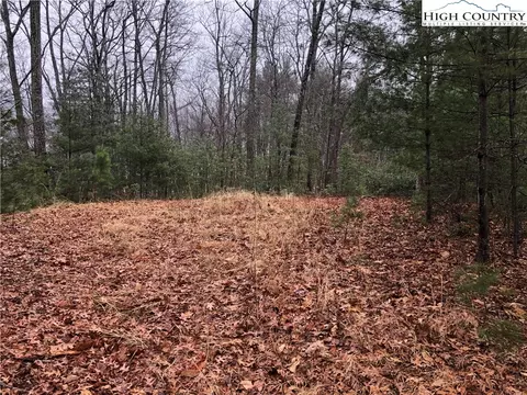 lot56 Deer Run, Purlear, NC 28665 photo 4